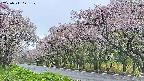 takano5-20250511171110.jpg