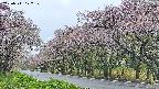 takano5-20250511172112.jpg
