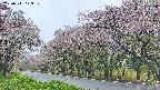 takano5-20250511173112.jpg