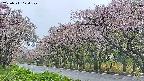 takano5-20250511174111.jpg