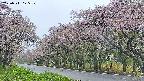 takano5-20250511175112.jpg