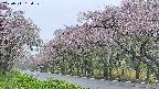 takano5-20250511180112.jpg