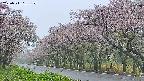 takano5-20250511181110.jpg