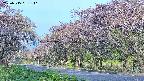 takano5-20250515061111.jpg