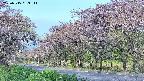 takano5-20250515063112.jpg