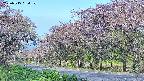 takano5-20250515064109.jpg