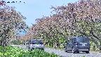 takano5-20250515092109.jpg