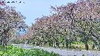 takano5-20250515094109.jpg