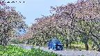 takano5-20250515095113.jpg