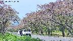 takano5-20250515100112.jpg