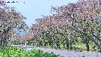 takano5-20250515101109.jpg