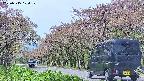 takano5-20250515104109.jpg