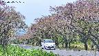 takano5-20250515105109.jpg
