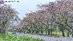 takano5-20250515112112.jpg