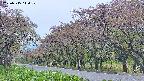 takano5-20250515114109.jpg