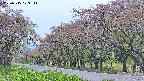 takano5-20250515123113.jpg