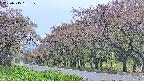 takano5-20250515131109.jpg