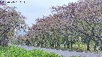 takano5-20250515132113.jpg