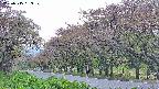 takano5-20250515163109.jpg