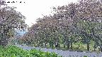 takano5-20250515164109.jpg