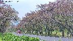 takano5-20250515181111.jpg