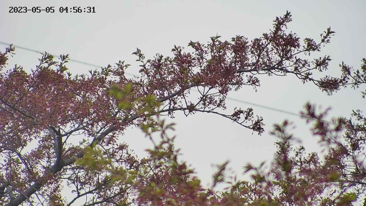 takano9-20230505045634.jpg