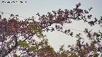 takano9-20230505052635.jpg