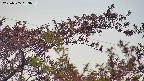 takano9-20230505053636.jpg