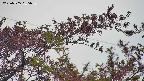 takano9-20230505055636.jpg