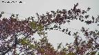 takano9-20230505060637.jpg