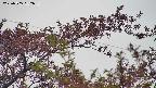 takano9-20230505062636.jpg