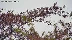 takano9-20230505063637.jpg