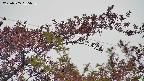 takano9-20230505065637.jpg