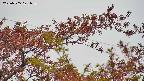 takano9-20230505071637.jpg