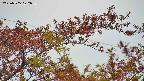takano9-20230505072636.jpg