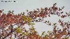 takano9-20230505083636.jpg