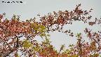 takano9-20230505113636.jpg