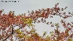 takano9-20230505114635.jpg
