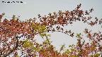 takano9-20230505115637.jpg