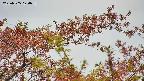takano9-20230505120636.jpg