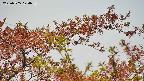 takano9-20230505124637.jpg