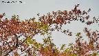takano9-20230505132638.jpg