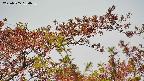 takano9-20230505134637.jpg