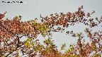 takano9-20230505140637.jpg
