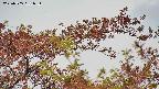 takano9-20230505151636.jpg
