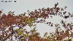 takano9-20230505153638.jpg