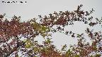 takano9-20230505165636.jpg