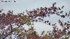 takano9-20230505182634.jpg