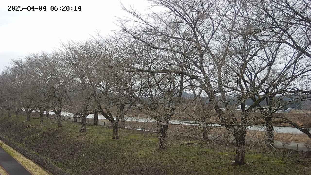 ochiai1-20250404062016.jpg