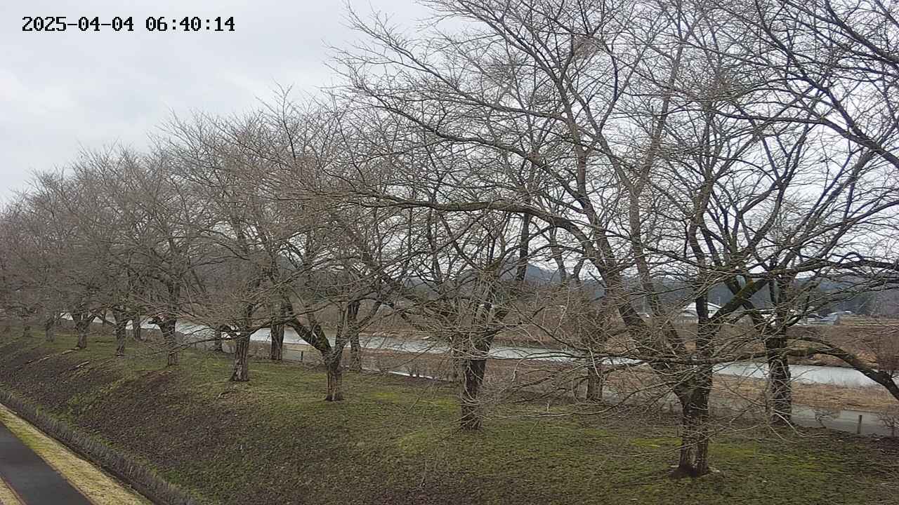 ochiai1-20250404064016.jpg
